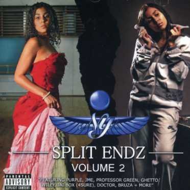 Split Endz Volume 2 - Ny - Musik - ALTERED EGO. - 5050457652623 - 16 maj 2008