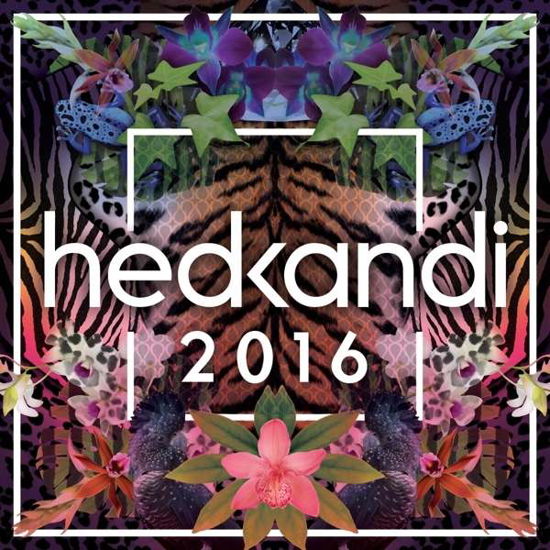 Cover for Hed Kandi 2016 (CD) (2015)