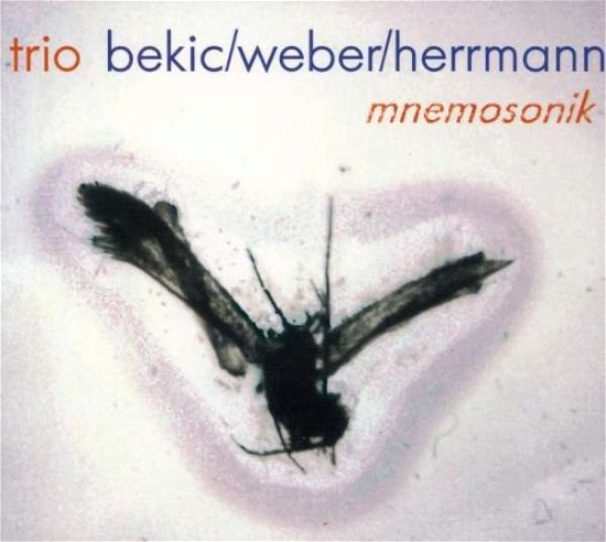 Cover for Bekic Trio · Mnemosonik (CD) (2008)