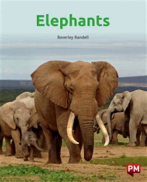 Cover for Beverley Randell · Elephants (Paperback Book)