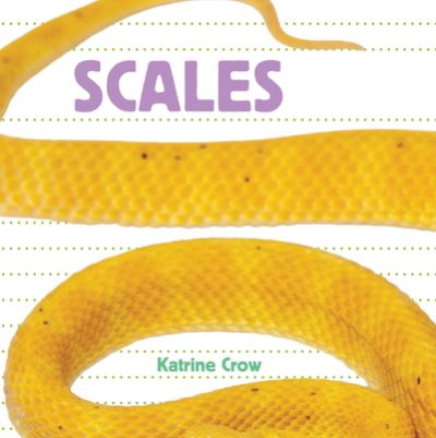 Cover for Katrine Crow · Scales (Book) (2019)