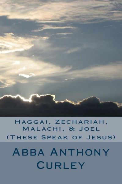 Cover for Abba Anthony Curley · Haggai, Zechariah, Malachi, &amp; Joel (Pocketbok) (2017)