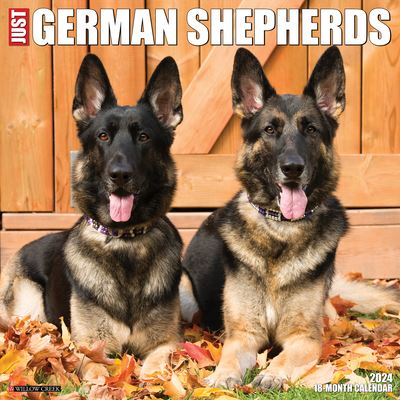 Just German Shepherds 2024 12 X 12 Wall Calendar - Willow Creek Press - Merchandise - Willow Creek Press - 9781549233623 - July 30, 2023