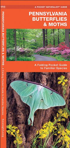 Cover for James Kavanagh · Pennsylvania Butterflies &amp; Moths: a Folding Pocket Guide to Familiar Species (Pocket Naturalist Guide Series) (Pamphlet) [First edition] (2018)