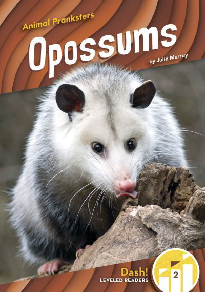 Cover for Julie Murray · Opossums - Animal Pranksters (Paperback Book) (2022)