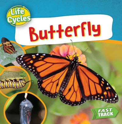 Butterfly - Nancy Dickmann - Books - Brown Bear Books - 9781781215623 - January 17, 2023