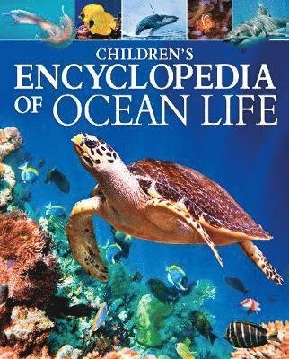 Cover for Claudia Martin · Children's Encyclopedia of Ocean Life: A Deep Dive into Our World's Oceans - Arcturus Children's Reference Library (Hardcover bog) (2020)