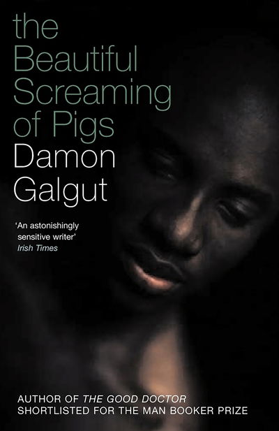 Cover for Damon Galgut · The Beautiful Screaming of Pigs (Paperback Book) [Main edition] (2006)