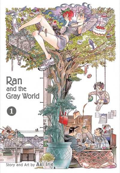 Cover for Aki Irie · Ran and the Gray World, Vol. 1 - Ran and the Gray World (Pocketbok) (2018)