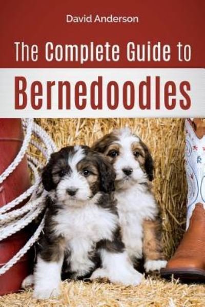 Cover for David Anderson · The Complete Guide to Bernedoodles (Pocketbok) (2018)