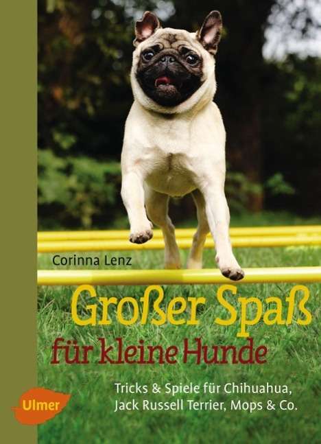 Großer Spaß für kleine Hunde - Lenz - Livros -  - 9783800112623 - 