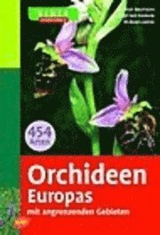 Orchideen Europas - H. Baumann - Livres -  - 9783800141623 - 