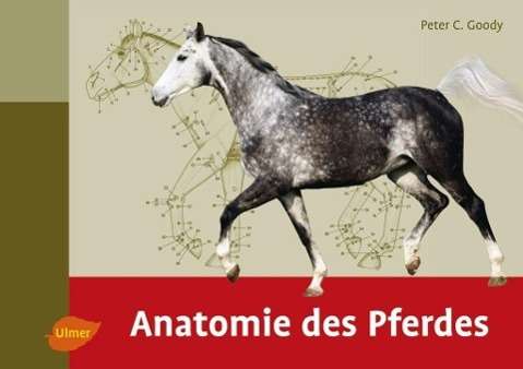 Cover for Goody · Anatomie des Pferdes (Book)