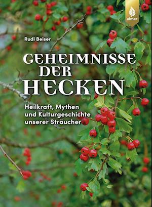 Cover for Rudi Beiser · Geheimnisse der Hecken (Book) (2024)