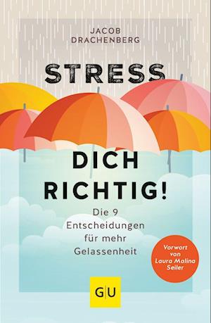 Cover for Jacob Drachenberg · Stress dich richtig! (Paperback Book) (2022)