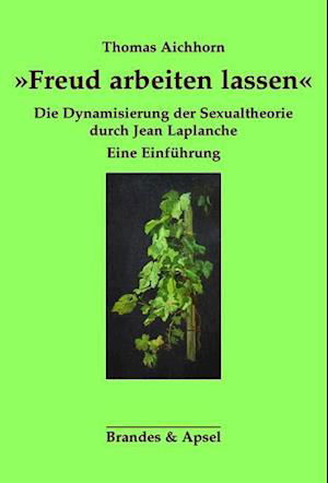 Â»Freud arbeiten lassenÂ« - Thomas Aichhorn - Livros - Brandes + Apsel Verlag Gm - 9783955582623 - 16 de outubro de 2019