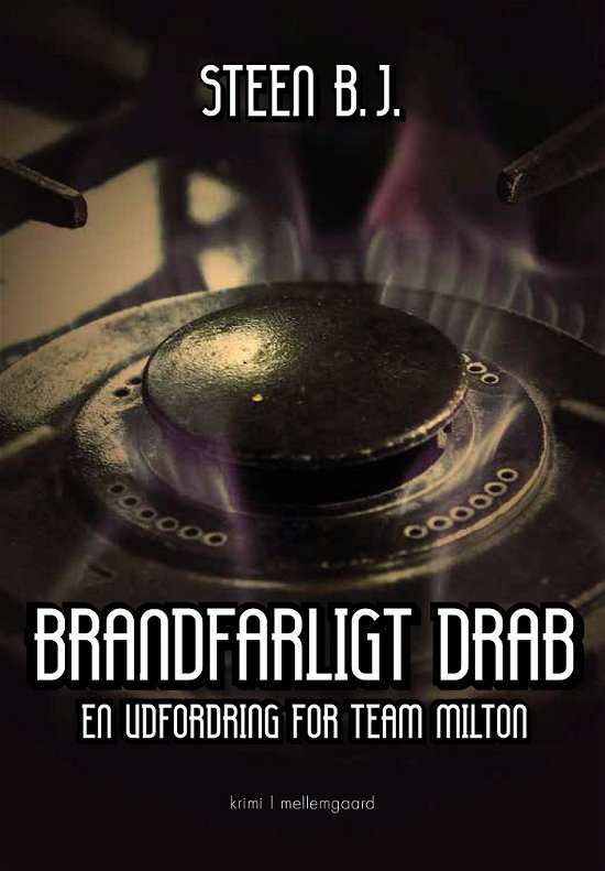 Cover for Steen B.J. · Brandfarligt drab (Sewn Spine Book) [1e uitgave] (2024)