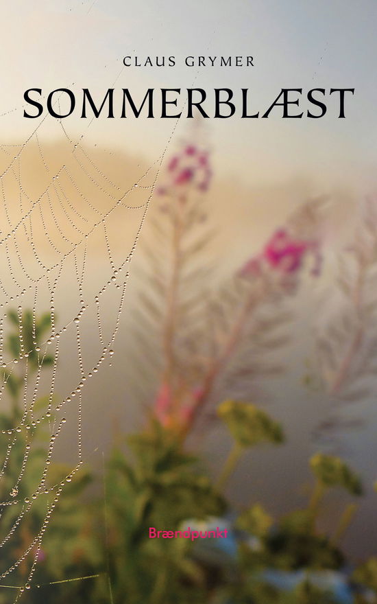 Cover for Claus Grymer · Sommerblæst (Hæftet bog) [1. udgave] (2022)