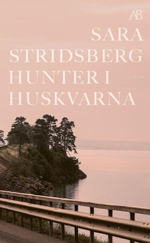 Cover for Sara Stridsberg · Hunter i Huskvarna (Paperback Book) (2022)