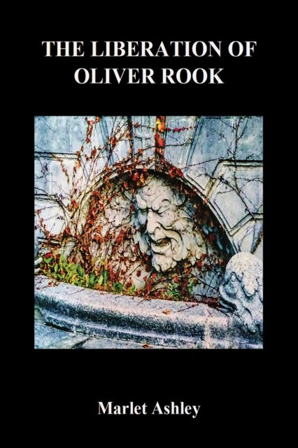 Cover for Marlet Ashley · The Liberation of Oliver Rook (Paperback Book) (2024)