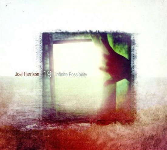 Infinite Possibility - Joel 19 Harrison - Musik - SUNNYSIDE - 0016728136624 - 18 juni 2013