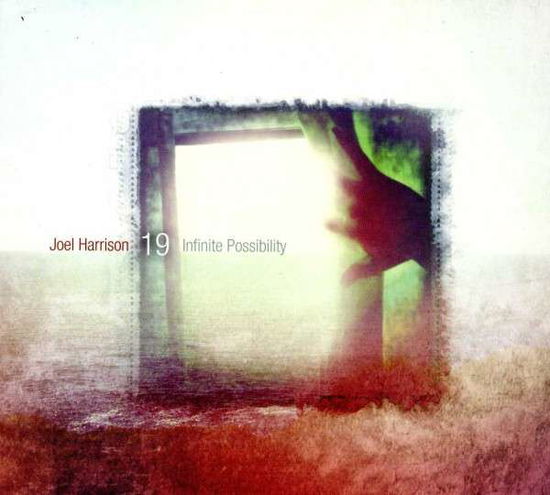 Infinite Possibility - Joel Harrison 19 - Música - Sunnyside - 0016728136624 - 29 de maio de 2013