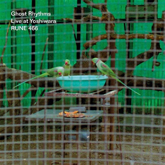 Cover for Ghost Rhythms · Live At Yoshiwara (CD) (2019)
