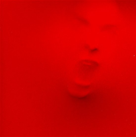 Cover for Red · Until We Have Faces (CD) (2011)
