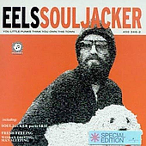 Souljacker - Eels - Musik - DREAM WORKS - 0600445034624 - 24. September 2001