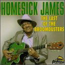 Cover for Homesick James · Last Of The Broomdusters (CD) (1998)