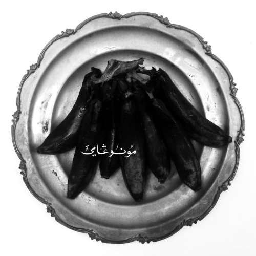 Cover for Land Of Kush's Egyptian Light Orchestra · Monogamy (CD) [Digipak] (2010)