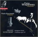 Arpeggione Sonata - Schubert / Wispelwey / Giacometti - Musique - CHANNEL CLASSICS - 0723385969624 - 1 octobre 1996