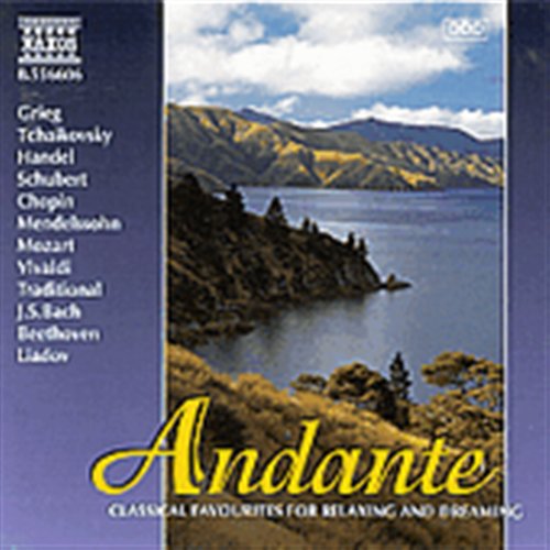 Cover for Andante (CD) (1999)