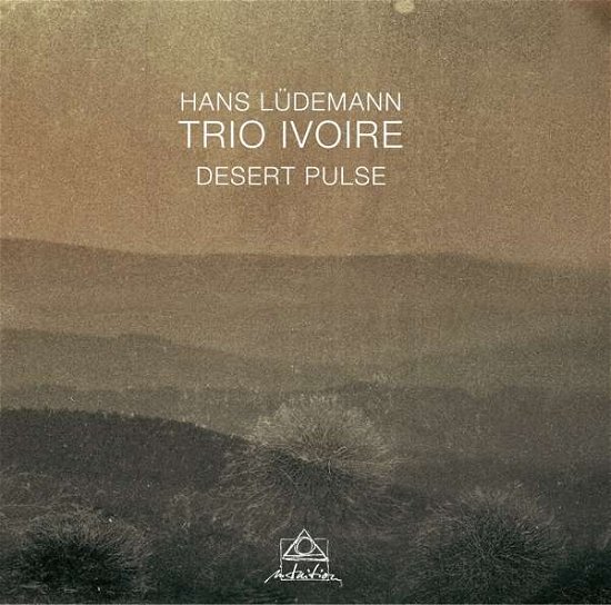 Cover for Ludemann, Hans &amp; Trio Ivoire · Desert Pulse (CD) (2017)