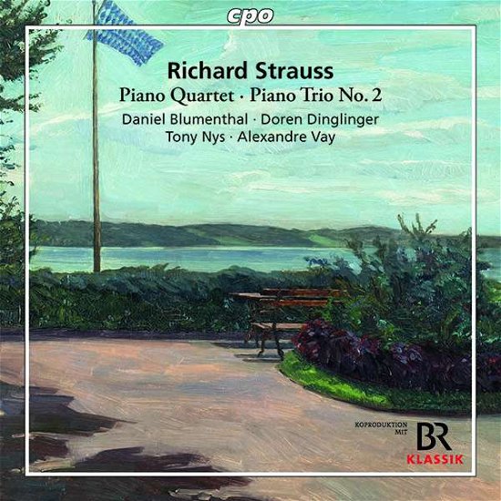 Strauss: Pia QuartPia Trio - Strauss / Blumenthal / Vay - Musiikki - CPO - 0761203511624 - perjantai 2. marraskuuta 2018