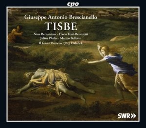 Cover for Brescianello / Bernsteiner / Pfeifer · Tisbe (CD) (2014)