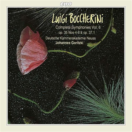 Cover for L. Boccherini · Complete Symphonies Vol.6 (CD) (1993)