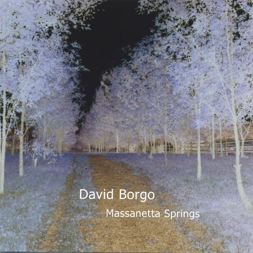 Cover for David Borgo · Massanetta Springs (CD) (2004)