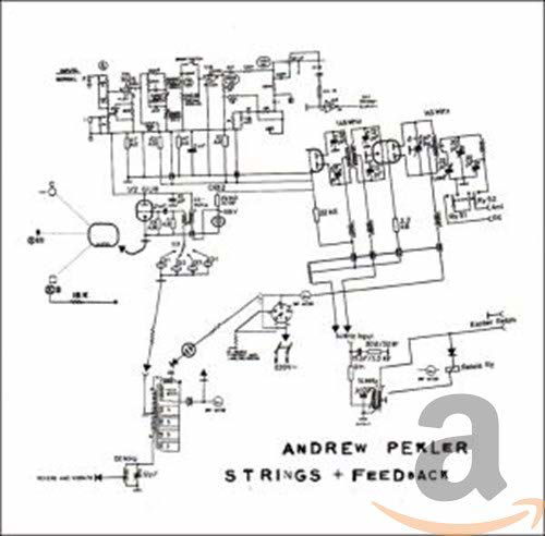 Strings + Feedback - Andrew Pekler - Musik - STAUBGOLD - 0801670026624 - 26. september 2005