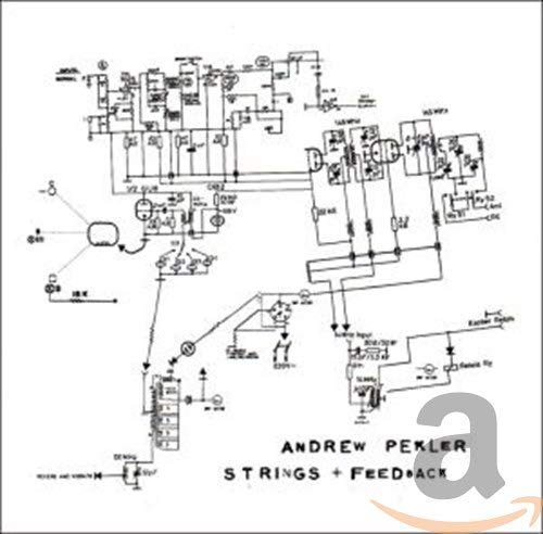 Strings + Feedback - Andrew Pekler - Musiikki - STAUBGOLD - 0801670026624 - maanantai 26. syyskuuta 2005