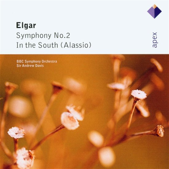 Elgar: Symphony No. 2 & in the South - E. Elgar - Musik - WARNER - 0809274958624 - 5. juli 2004