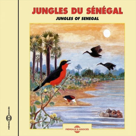 Cover for Sounds of Nature · Jungles of Senegal (CD) (2007)