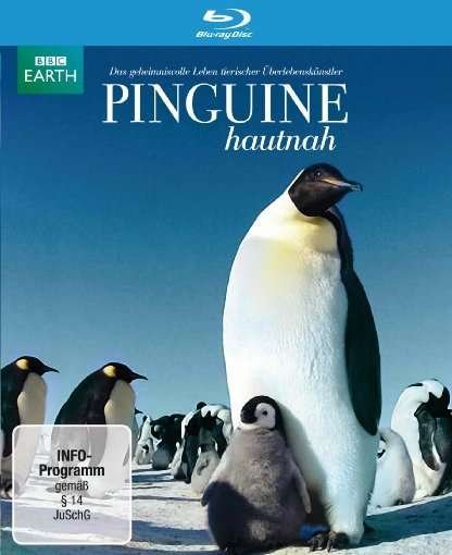 Cover for Pinguine Hautnah (Blu-ray) (2013)