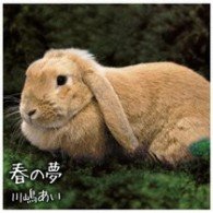 Cover for Ai Kawashima · Haru No Yume (CD) [Japan Import edition] (2010)