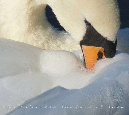 Cover for Andrew Cronshaw · Unbroken Surface of Snow (CD) (2011)