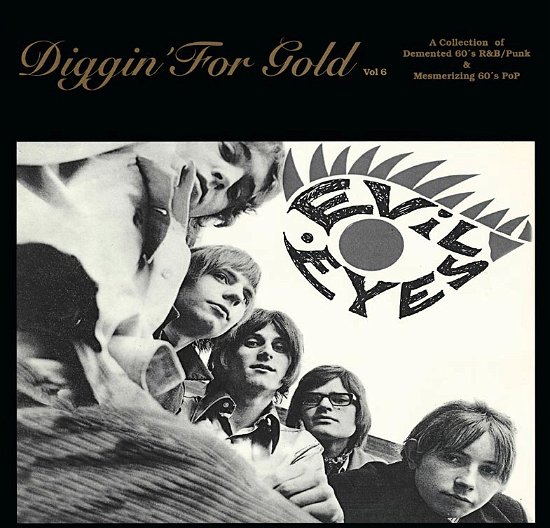 Cover for Various Artists · Diggin For Gold Volume 6 (LP) [Coloured edition]