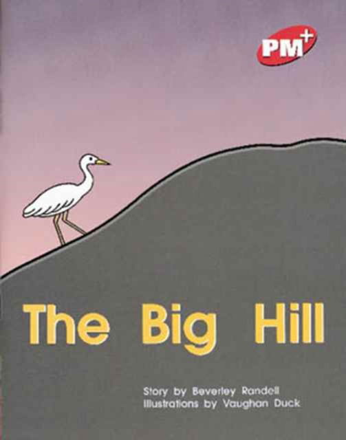 The Big Hill - Beverley Randell - Książki - Cengage Learning Australia - 9780170095624 - 8 września 1999