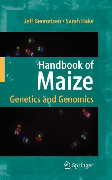 Cover for J.L. Bennetzen · Handbook of Maize: Genetics and Genomics (Hardcover Book) [2009 edition] (2009)