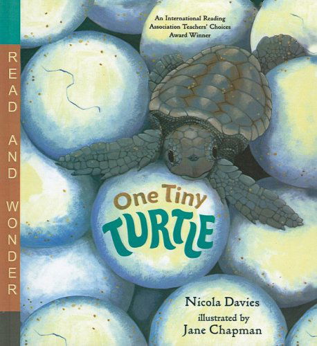 Cover for Nicola Davies · One Tiny Turtle (Read and Wonder (Pb)) (Hardcover Book) (2005)