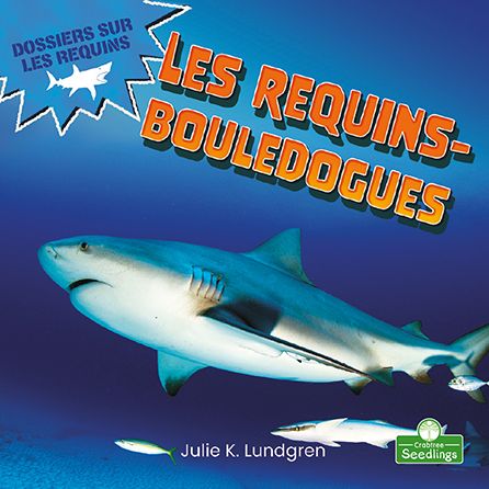 Cover for Julie K Lundgren · Le Requin Boulegogue (Paperback Book) (2021)